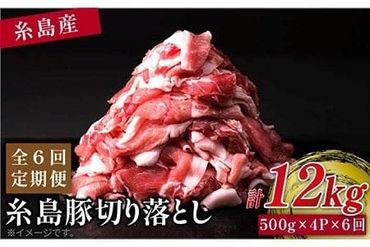 【 全6回 定期便 】糸島 豚 切り落とし 2kg ( 500g × 4P ) 糸島 【幸栄物産】 [ABH021]