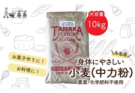 【 業務用 】 伊都 の かおり ( 中力粉 ) 10kg 《糸島》【天然パン工房楽楽】【いとしまごころ】 [AVC063]