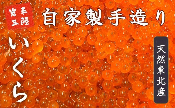 【2025年12月より発送】いくら 醤油漬け 200g～500g (100g×2個～5個)【15】