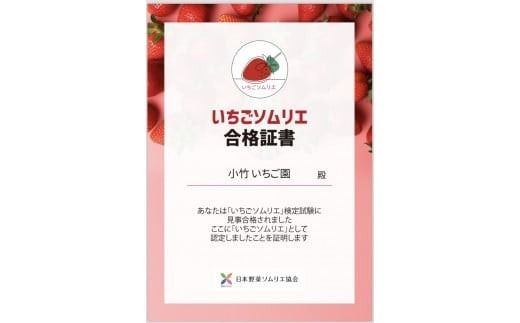 《数量限定》新旧2種食べ比べセット（とちおとめ、とちあいか） 270g×2パック（540g）｜いちご イチゴ 苺 先行予約 栃木県 果物 くだもの フルーツ とちおとめ とちあいか 新鮮 贈答 ギフト 食べ比べ ※2027年1月～発送