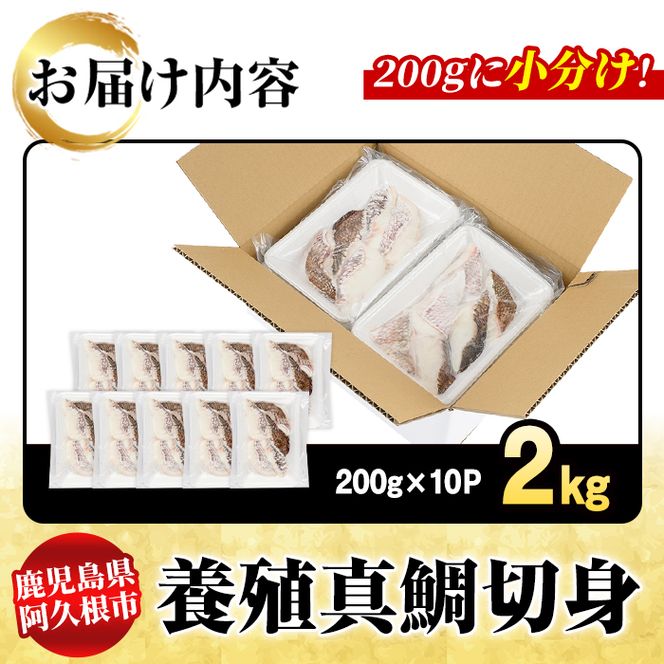 養殖真鯛切身(約2kg) 鹿児島県 阿久根市 たい タイ 真鯛 魚貝 魚介 海産物 切身 切り身 煮物 煮つけ 焼き魚 おかず おつまみ 小分け 【さるがく水産】akn028-47