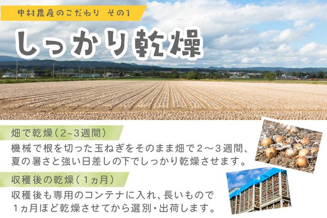 【予約：2026年10月から順次発送】北海道北見産 玉ねぎ 5kg ( 玉ねぎ 野菜 たまねぎ タマネギ 玉葱 甘い ハンバーグ 肉じゃが ふるさと納税 玉ねぎ )【002-0008-2026】
