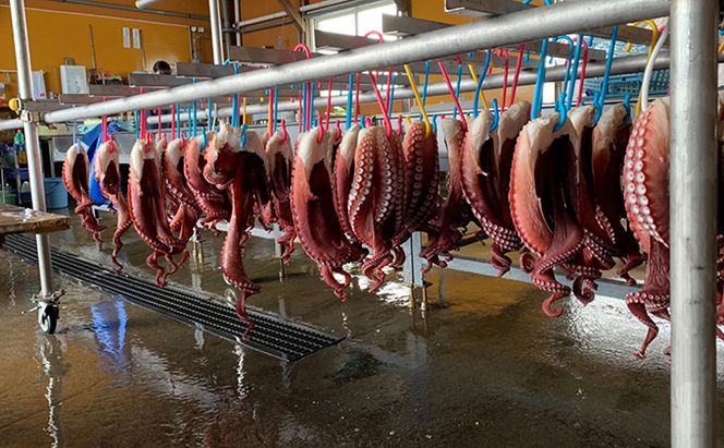 北海道オホーツク海産　たこしゃぶ4パック