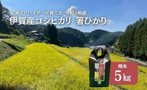 先行販売！令和8年度産　伊賀産コシヒカリ　極上　箸ひかり(精米)5kg コシヒカリ 3年連続 特A 米 こしひかり ご飯 ごはん 白米 精米 三重県 名張市