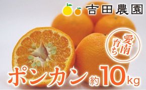 数量限定 順次発送 ポンカン 10kg 24000円 ぽんかん 国産 みかん mikan 蜜柑 ミカン 産地直送 農家直送 期間限定 特産品 ギフト プレゼント ゼリー ジュース アイス 冷凍 みかん 等に 人気 限定 甘い フルーツ 果物 柑橘 美味しい おいしい 小玉 含む ジューシー サイズ ミックス 吉田農園 愛南町 愛媛県