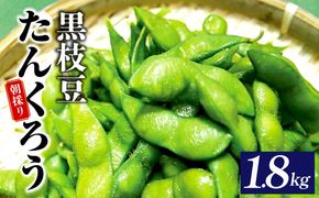 005A061 【先行予約】黒枝豆 1.8kg 【新鮮 野菜 泉佐野産 えだまめ やさい TONOファーム 高評価 数量限定 畑から直送 朝採り】