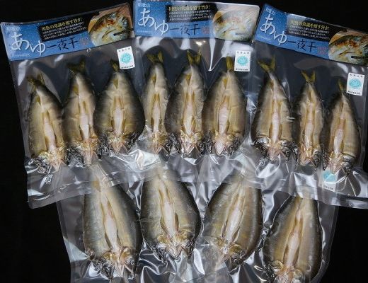 【大人気】「旨いはずです。」特選あゆ一夜干しセット（１３枚入）
※北海道・沖縄・離島へのお届け不可