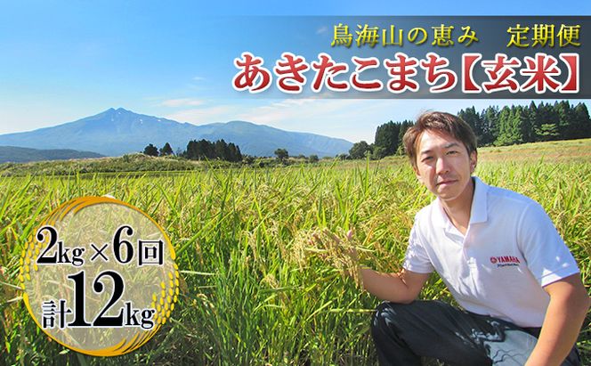 米 お米 《定期便》2kg×6ヶ月 鳥海山の恵み！秋田県産 あきたこまち ひの米（玄米）計12kg（2kg×6回連続） ご飯 主食 ライス 釜ヶ台 国産 おにぎり お弁当 半年 お届け
