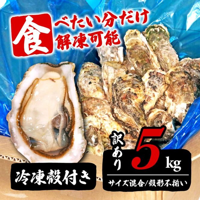 訳あり 数量限定 生産調整品 生食 殻付き 牡蠣5kg [koku013]