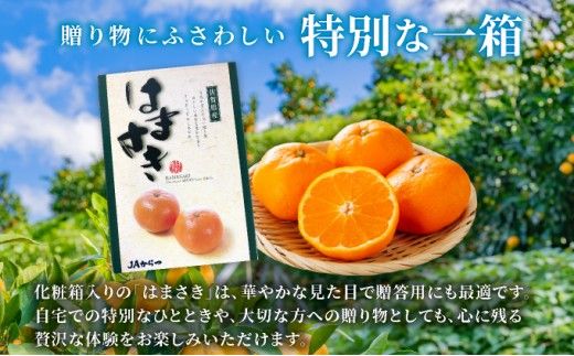 はまさき 約2.5kg 化粧箱入り