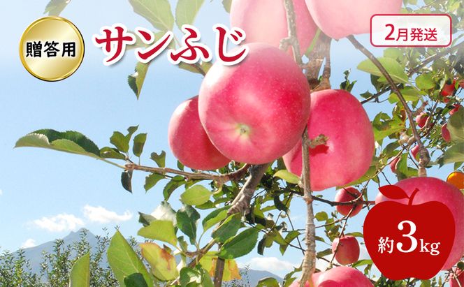 りんご 【 2月発送 】 贈答用 サンふじ 約 3kg