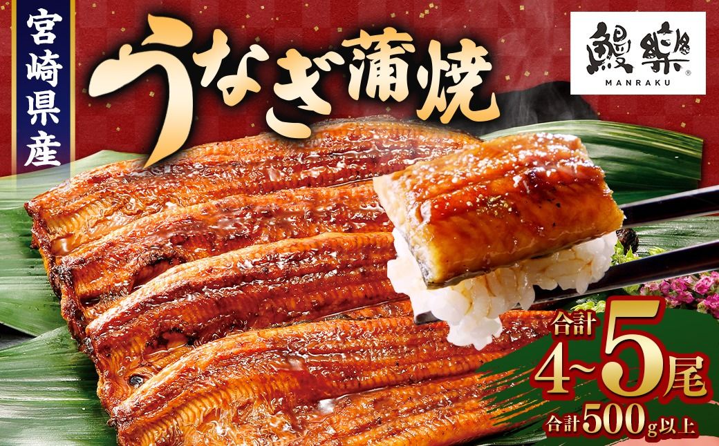お中元ギフトに最適![今なら丑の日までにお届け!][宮崎県産 うなぎ蒲焼 4〜5尾 計500g以上][c1451_mn]