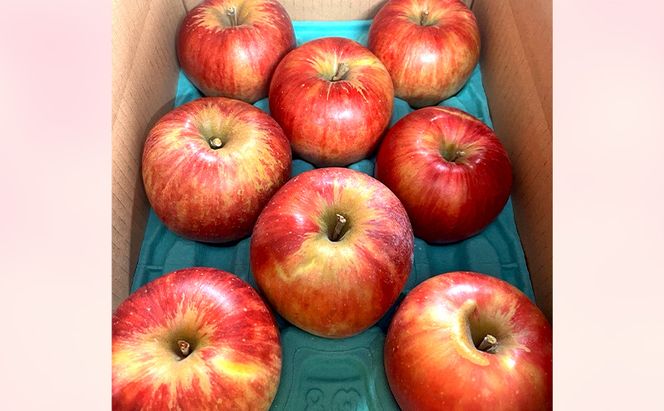 【2026年8月～発送】訳あり サンつがる 約3kg リンゴ りんご フルーツ 果物 お取り寄せ 長野県 山ノ内町