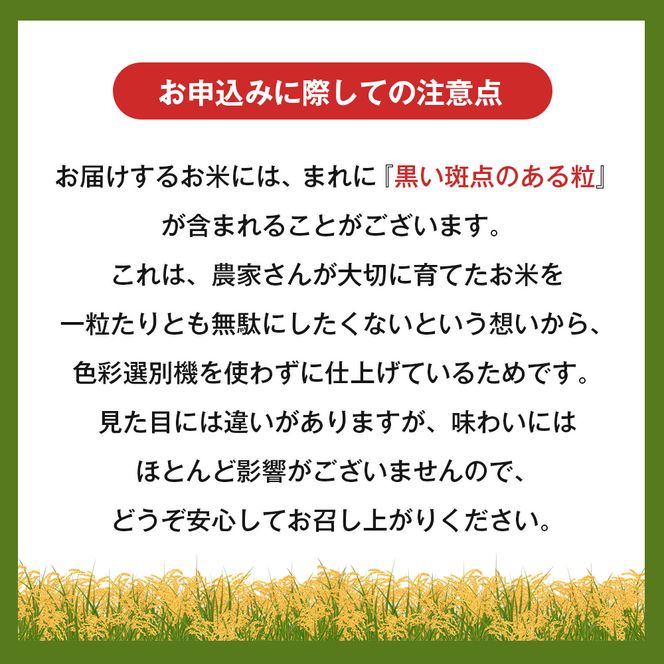 淡路島産キヌヒカリ 5kg （白米）