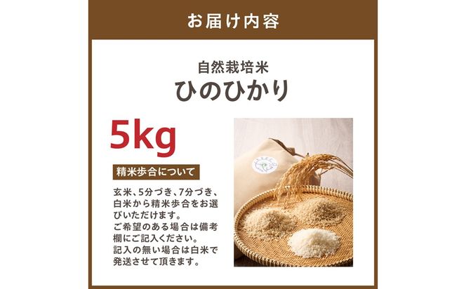 令和8年産 新米予約受付！自然栽培米ひのひかり5kg〈栽培期間中農薬・肥料不使用〉【ほのわ】_HA1609