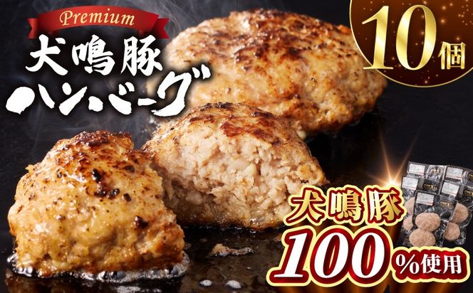 099H3809 【泉佐野ブランド豚】犬鳴豚の手作りプレミアムハンバーグ（10個入り）【国産 豚肉 泉佐野ブランド豚 犬鳴ポーク 普段使い】