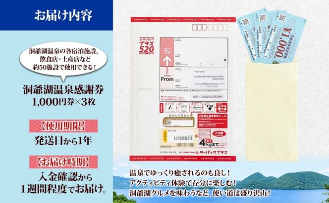 洞爺湖温泉感謝券 3000円 分 金券 クーポン 洞爺湖 湖 温泉 リゾート 有珠山 火山 自然 花火 イルミネーション 旅行 観光 宿泊 施設 北海道 