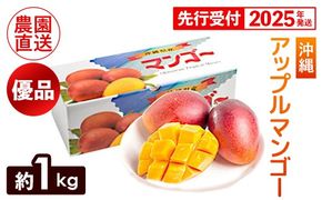 【化粧箱入】【先行受付・2025年発送】ヤマト農園 アップルマンゴー約1kg（優品）- 先行予約 沖縄県産 産地直送 南国フルーツ 旬の味覚 季節の果物 贈り物 ギフト 沖縄県 八重瀬町