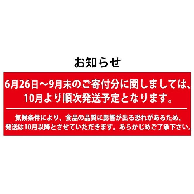 【0105418a】香る！あずきけせん団子セット (計24個・6個×4袋) 小豆 あずき お菓子 和菓子 菓子 スイーツ おやつ 【茶いっぺ】