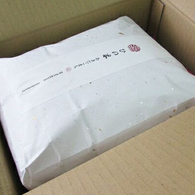 米 お米 【定期便】10kg×6ヶ月 鳥海山の恵み 農家直送！ あきたこまち（玄米・5kg×2袋） 6回 半年 サブスク