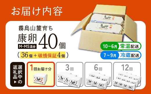 卵霧島山麓育ち こだわり卵 康卵 計40個（36個 + 割れ保証4個）たまご 玉子 卵焼き 玉子焼き たまご焼き 生卵 鶏卵 たまごかけごはん 国産 九州産 宮崎県産 送料無料