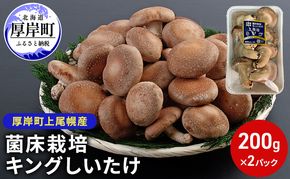 北海道産 厚岸町 上尾幌 菌床栽培 キングしいたけ 2パック 