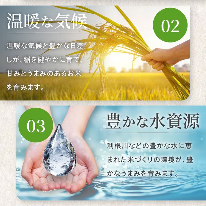 令和8年産 コシヒカリ 精米 10kg | お米 こしひかり コシヒカリ 白米 茨城県 取手市 （CO002）