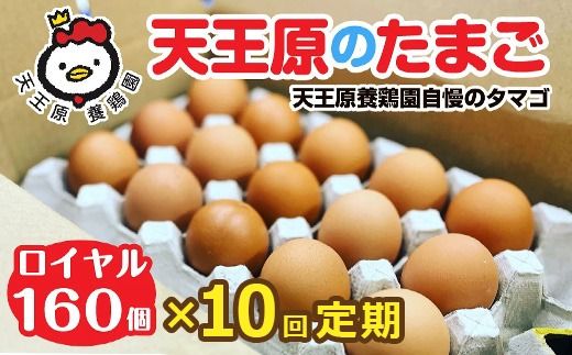 【定期便】10回定期 【天王原のたまご】 ロイヤル卵160個入り【定期便 10回定期便 セット たまご 卵 玉子 タマゴ 濃厚 ハリ 弾力 ボリューム 甘味 旨味 卵黄 風味 生 コク 甘味 卵かけご飯 卵焼き 目玉焼き オムレツ 茶碗蒸し お菓子作り パンの材料】