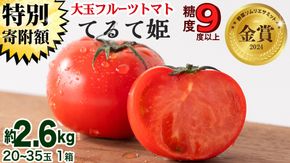 【 早期申込み限定 特別寄附額 】 てるて姫 大箱 約2.6kg × 1箱 【20〜35玉/1箱】 2026年産 野菜ソムリエサミット 金賞 糖度9度 以上 野菜 フルーツトマト フルーツ トマト とまと [AF109ci]