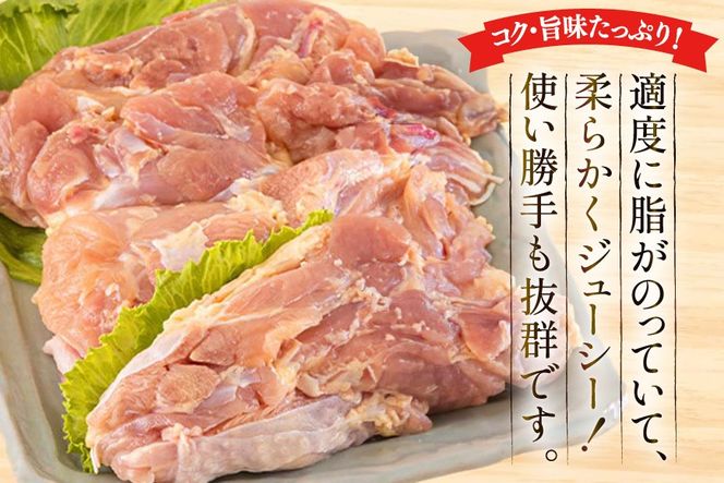 鶏肉 もも肉 宮崎県産 若鶏 もも 1kg × 5 計5kg [アグリ産業匠泰 宮崎県 美郷町 31be0061] 肉 鳥肉 とりにく 冷凍 小分け 個包装 モモ 鶏もも 鶏モモ