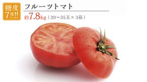フルーツトマト 大箱 約2.6kg × 3箱 【大玉 20〜35玉/1箱】 2026年産 糖度7度 以上 野菜 フルーツ トマト とまと [AF074ci]