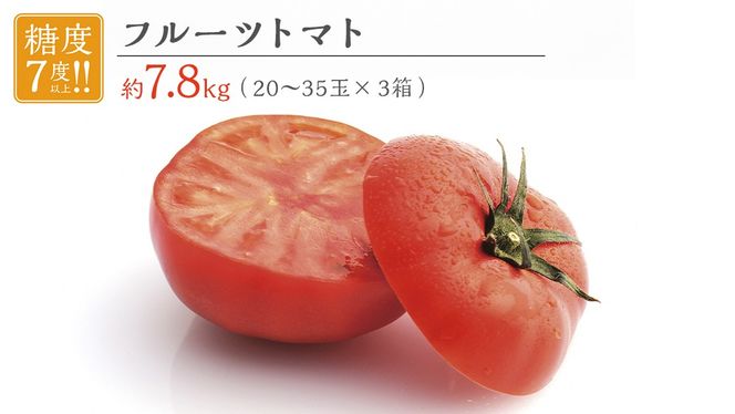 フルーツトマト 大箱 約2.6kg × 3箱 【大玉 20〜35玉/1箱】 糖度7度 以上 野菜 フルーツ トマト とまと [AF074ci]