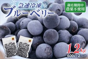 【2026年7月より順次発送】有機栽培・栽培期間中農薬不使用！急速冷凍ブルーベリー 1.2kg 【JAほたるの里】_HA1517