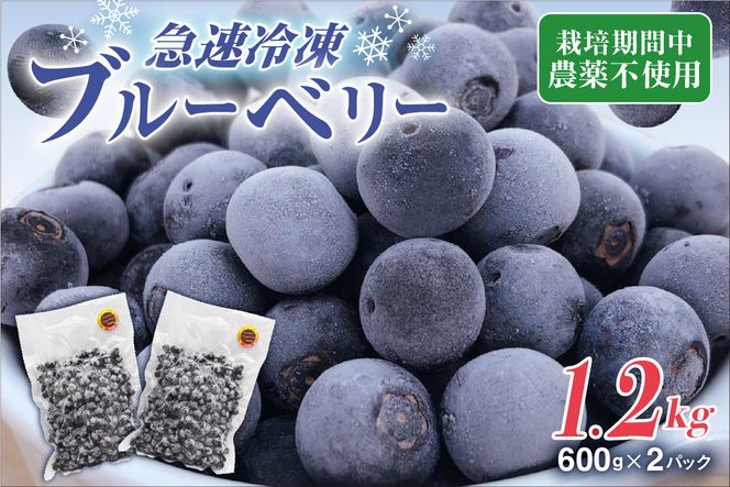 【2026年7月より順次発送】栽培期間中農薬不使用！急速冷凍ブルーベリー 1.2kg 【JAほたるの里】_HA1517