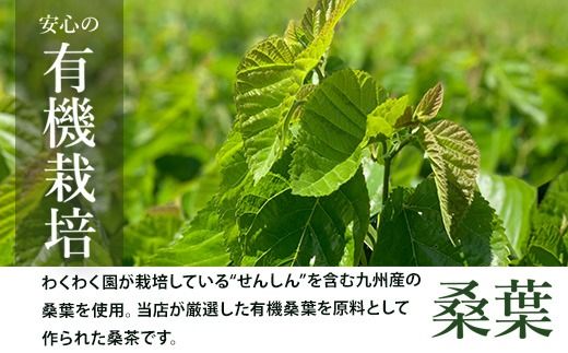 a1023 菊芋桑茶 (100包) 菊芋 スーパーフード 桑の葉茶 健康茶 ハーブ マルベリー ノンカフェイン【わくわく園】