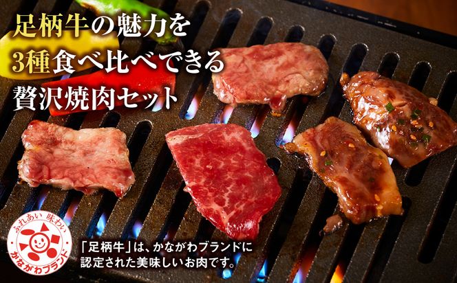 足柄牛3種焼肉セット（カルビ　上モモ　中落カルビ各250ｇ）【 肉 国産  神奈川県 小田原市 】 142069_AG033