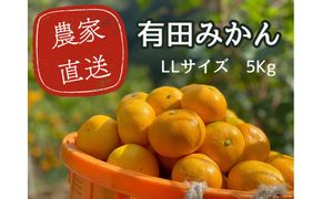 有田みかん LL 5kg 贈答用 乳酸菌栽培   CX030