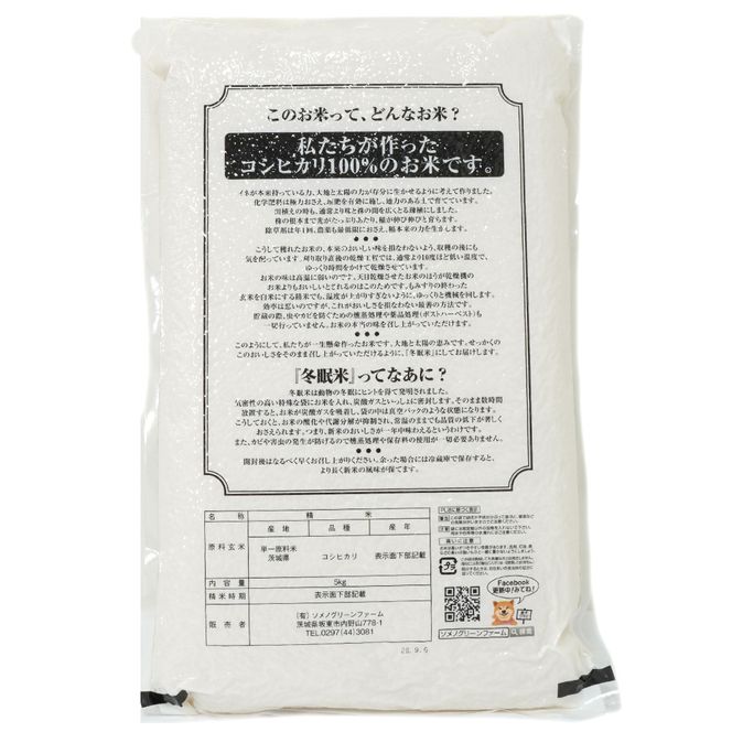 令和8年産 コシヒカリ 冬眠米 5kg（5kg×1袋） | 茨城県産 白米 精米 ごはん お米 冬眠 とうみんまい ブランド米 検査米 単一原料米 国産 守谷市 送料無料