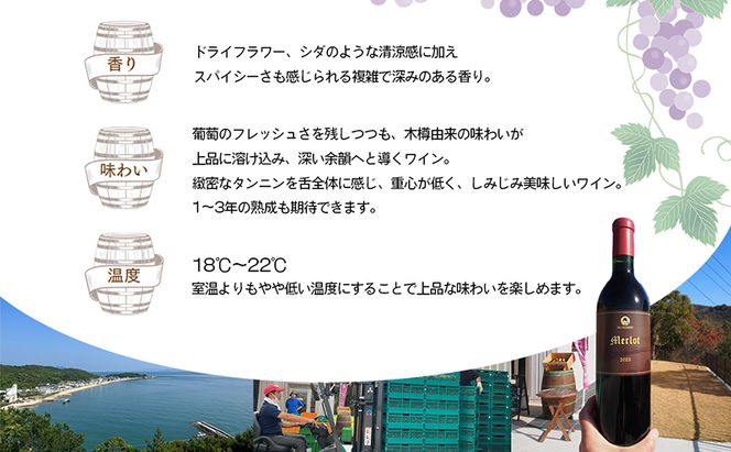 【 小豆島 】小豆島醸造 木樽熟成 メルロー 2023年 1本 化粧箱入り お酒 酒 ワイン 赤ワイン 熟成 香川 香川県 土庄 土庄町