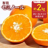 DZ6225_訳あり 家庭用 セミノール  和歌山 有田  2S～3Lサイズ混合 2kg
