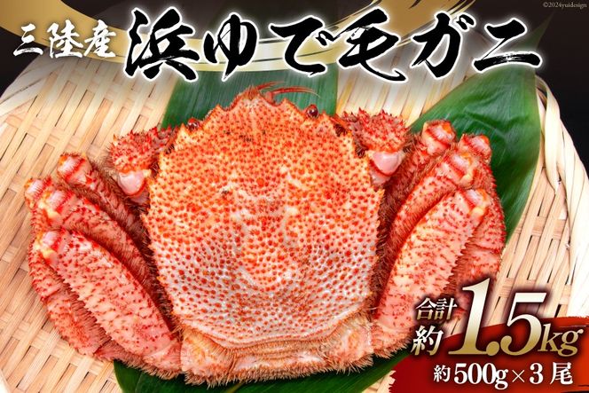 y{錧CszyԌ蔭z OYlŖуKj 500g×3 v1.5kg [X {錧 Cs 20564163]  CN OY O Jj I уKj т ъI {C l䥂 l ①