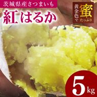 【2026年12月より発送】焼き芋好きのための黄金色で蜜たっぷりサツマイモ 紅はるか 約5kg｜さつまいも サツマイモ お芋 紅はるか 蜜 やきいも 焼き芋 ヤキイモ 茨城県 行方市(BI-71)