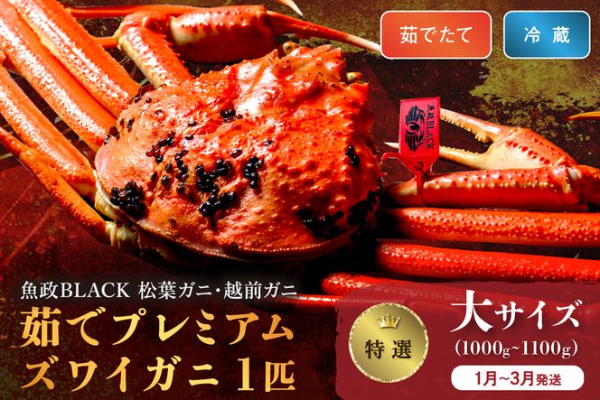 【蟹の匠 魚政】茹で　プレミアムズワイガニ 魚政BLACK（松葉ガニ・越前ガニ）特撰 大サイズ（1000～1100g） 1匹(1月～3月発送） 松葉蟹 蟹 かに カニ ガニ がに ボイル まるごと 海産物 海鮮 魚介 魚介類 甲殻類 海の幸 小 京都 京丹後 京丹後市 ふるさと納税 蟹 送料無料　UO01299