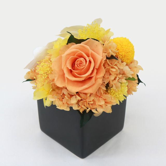 胡蝶蘭キューブM 花 お花 プリザーブドフラワー ギフト プレゼント お祝い 誕生日 お供え アレンジ インテリア 東京都 墨田区