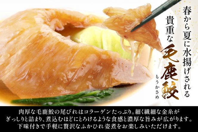 ふかひれ 姿煮 ギフトB [中華高橋水産 宮城県 気仙沼市 20565946] ふかひれ 鱶鰭 姿煮 レトルト 中華 中華料理