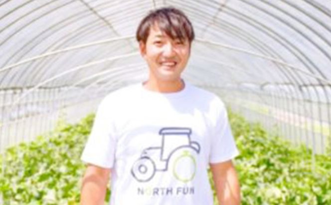 【2026年6月発送】富良野メロン 4～5玉 計約8kg (NORTH FUN) メロン フルーツ 果物