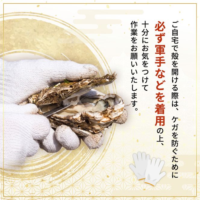 【先行予約 7月上旬～下旬発送予定】象潟産 天然岩牡蠣 7～8個 ナイフ無【牡蠣 夏牡蠣 かき 象潟 生食可 魚介類 海鮮 海産物 海の幸】