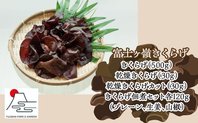 富士ヶ嶺きくらげ満足セット FDY003