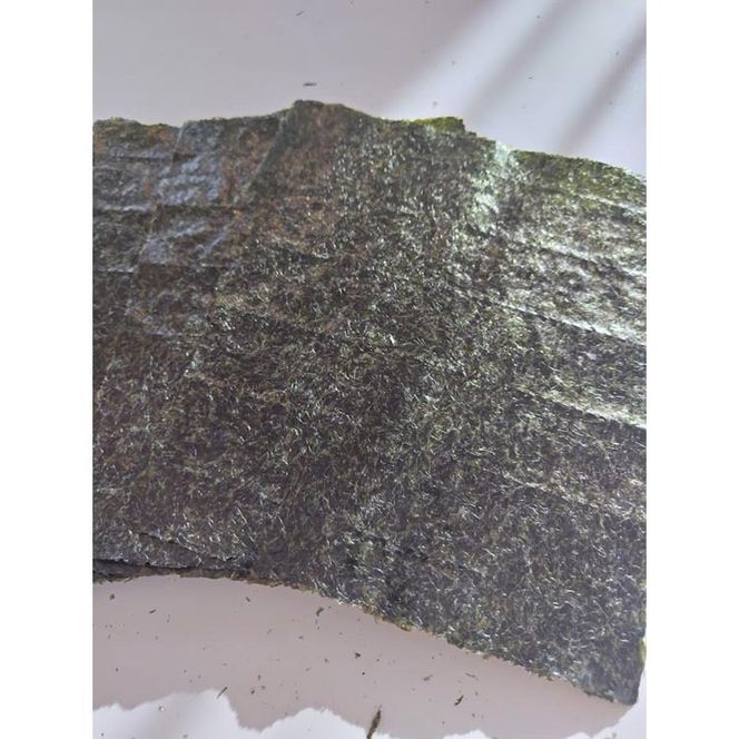 初摘限定　有明海産焼海苔　訳アリ商品、板のり30枚