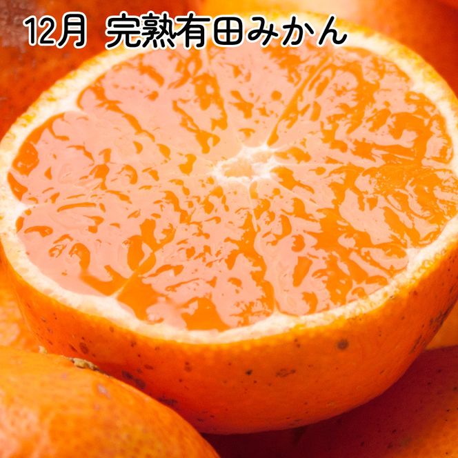 厳選 柑橘定期便SS（10～12月）全3回【みかん定期便お試し版】［IKE284］ 303446_BB90193